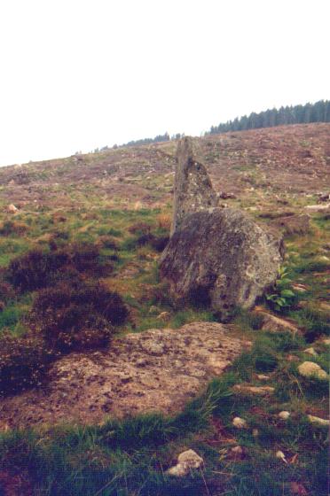 Whitehills (Stone Circle) by Moth