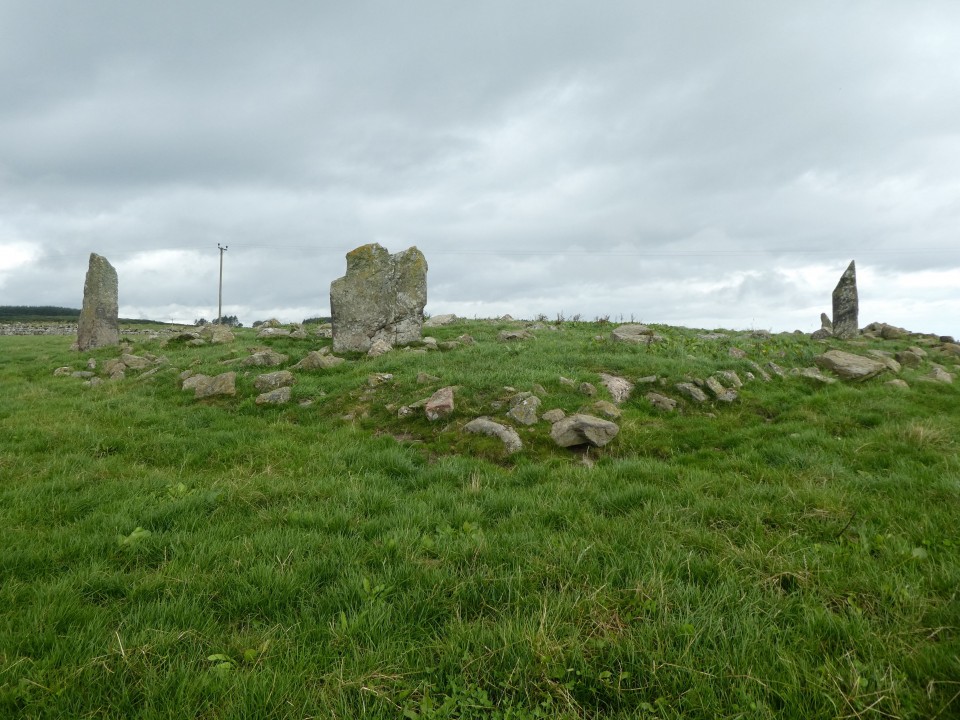 Old Bourtreebush (Stone Circle) by costaexpress