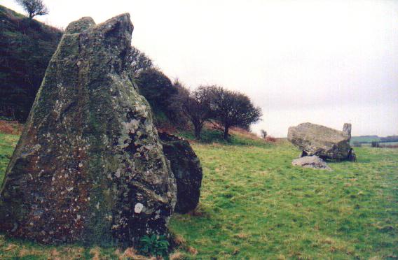 Din Dryfol (Chambered Tomb) by Moth