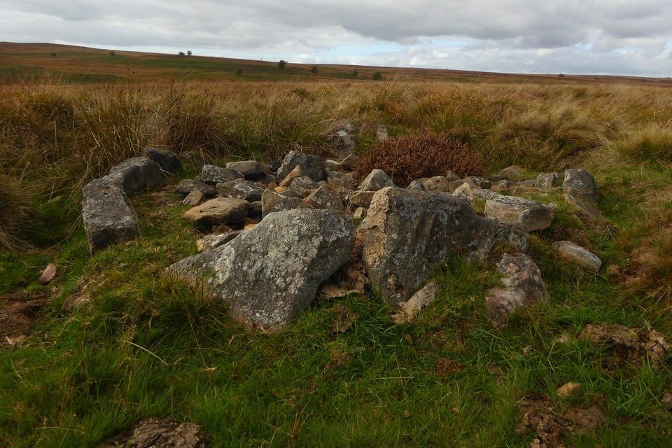 Barbrook cairns (Barrow / Cairn Cemetery) by thesweetcheat