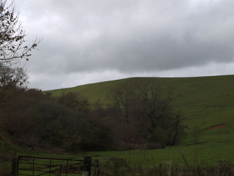 Burcombe Hill (Hillfort) by formicaant