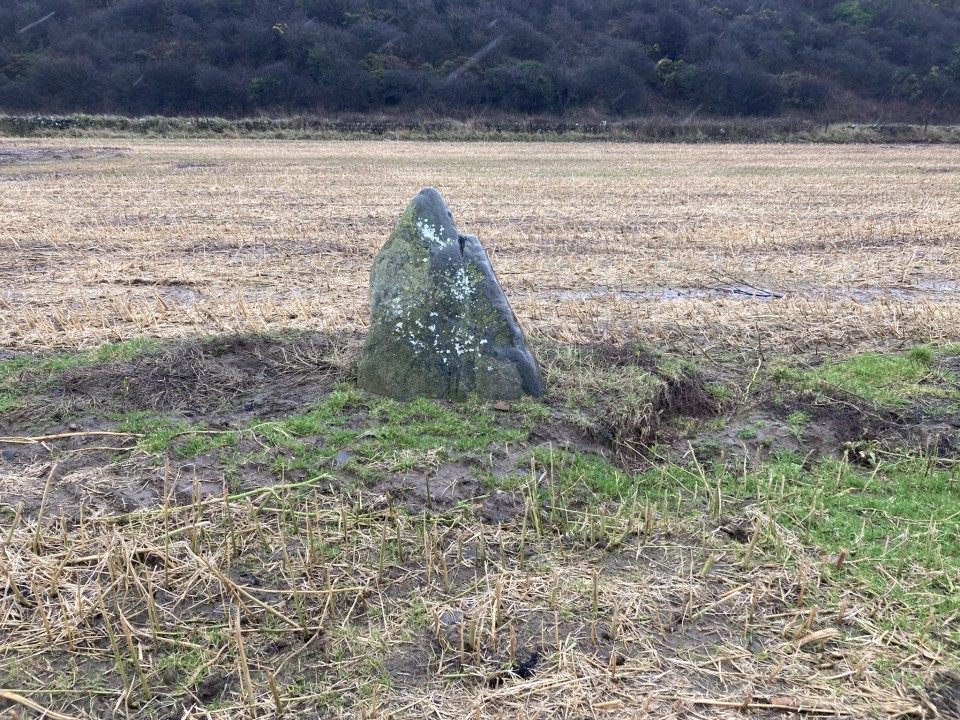 The Witching Stone (Standing Stone / Menhir) by markj99
