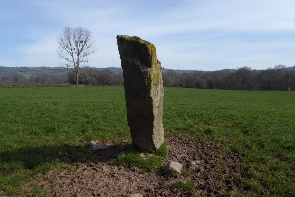 Maen Hir (Boughrood) (Standing Stone / Menhir) by thesweetcheat
