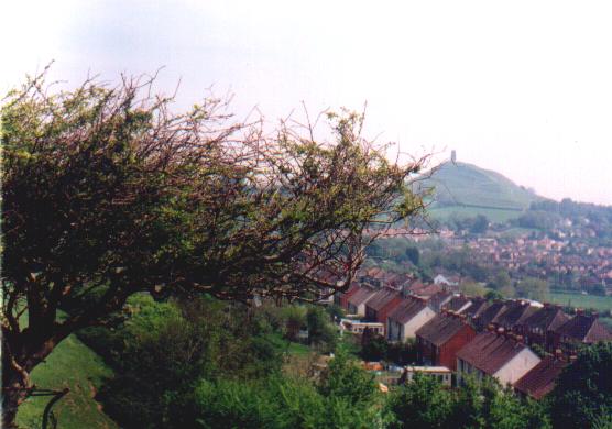 Glastonbury Tor (Sacred Hill) by Moth