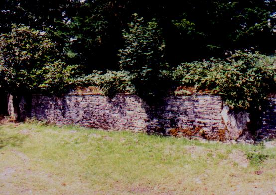 Ysbyty Cynfyn (Christianised Site) by Moth