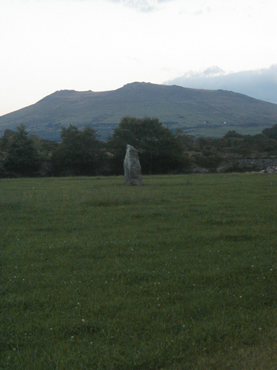 Maen Llwyd (Plas Newydd) (Standing Stone / Menhir) by rdavymed