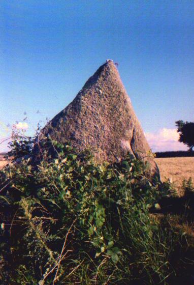 Boscawen-Un hedge (Standing Stone / Menhir) by Moth