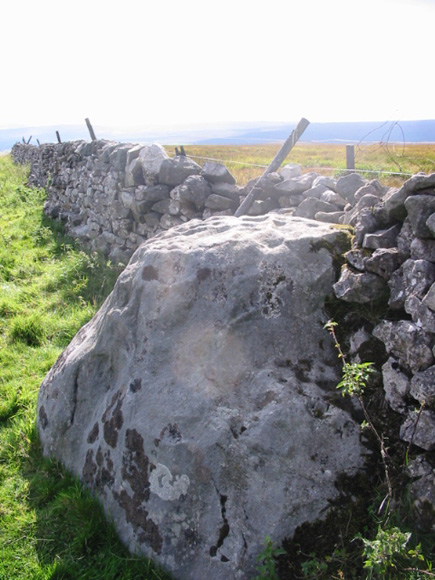 Skyreholme Walled Boulder (Cup Marked Stone) by stubob