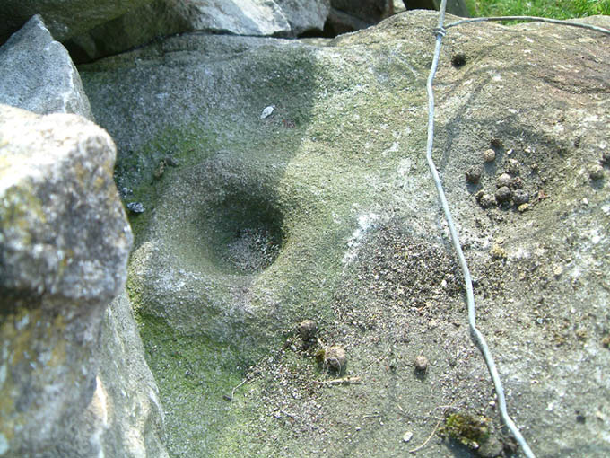 Skyreholme Walled Boulder (Cup Marked Stone) by stubob