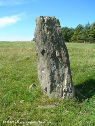 Trefwri Standing Stone (East) (Standing Stone / Menhir) by Kammer