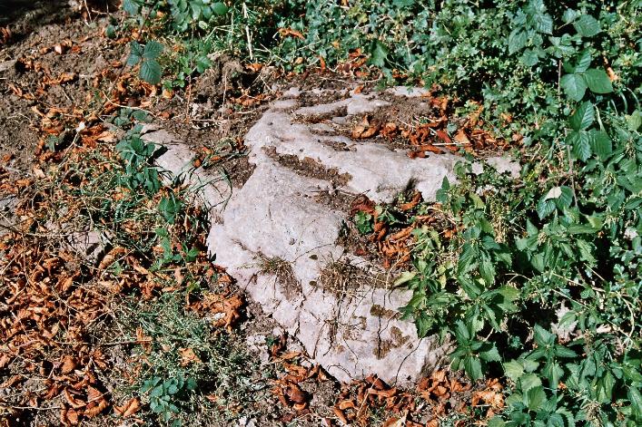 Hautville's Quoit (Standing Stone / Menhir) by Moth