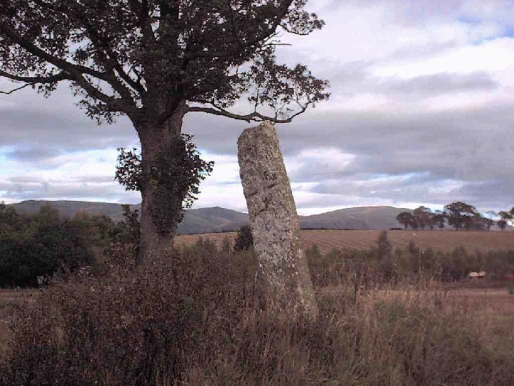 Parkmill (Standing Stone / Menhir) by winterjc