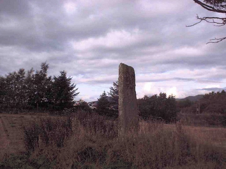 Parkmill (Standing Stone / Menhir) by winterjc