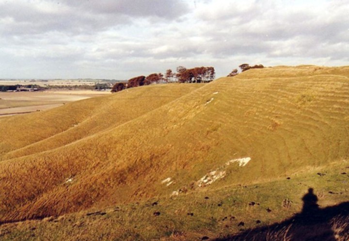 Cherhill Down and Oldbury (Hillfort) by Earthstepper