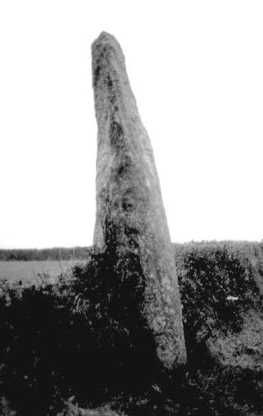 Prospidnick Longstone (Standing Stone / Menhir) by pure joy