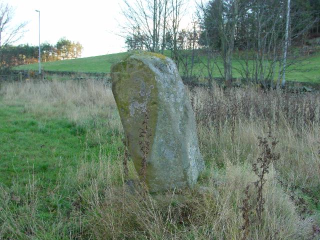 Cardrona Mains (Standing Stone / Menhir) by Martin