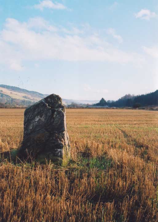 Haugh of Grandtully Farm (Standing Stone / Menhir) by BigSweetie