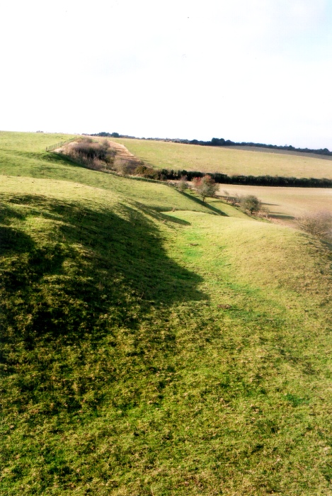Grim's Ditch (Cranborne Chase) (Dyke) by jimit