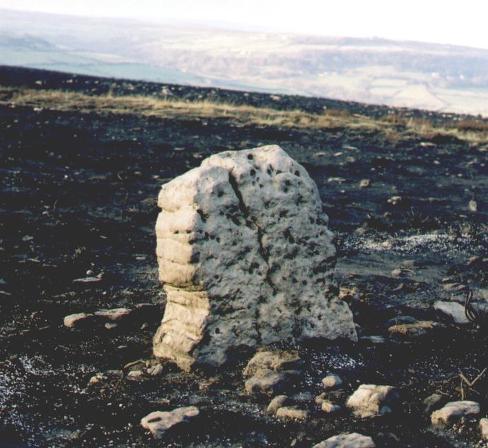Brow Moor Ring cairn (Ring Cairn) by fitzcoraldo