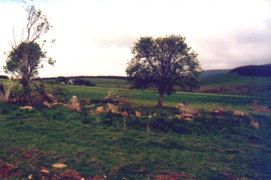 Druidstones (Stone Circle) by Moth