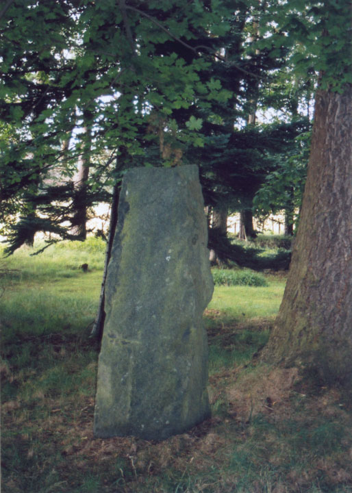 Balnakeilly Stone (Standing Stone / Menhir) by BigSweetie