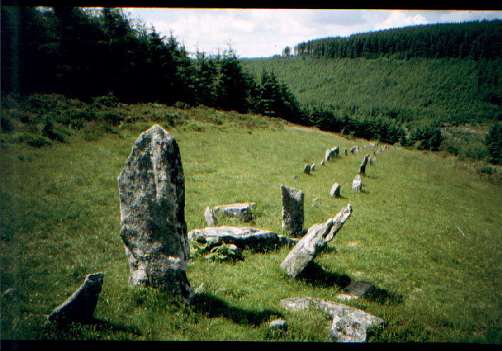 Assycombe Hill (Stone Row / Alignment) by greywether