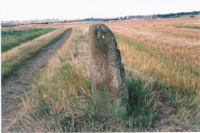 Skeith Stone (Standing Stone / Menhir) by hamish