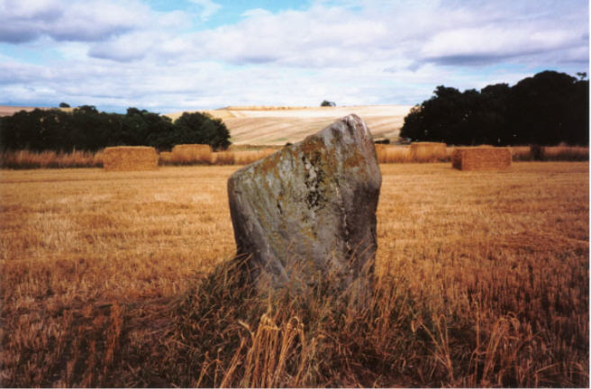 Bonhard (Standing Stone / Menhir) by hamish