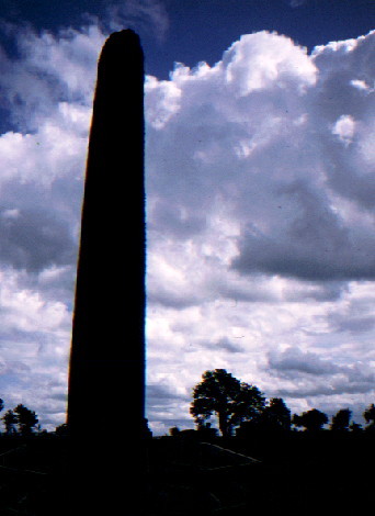 Punchestown Standing Stone (Standing Stone / Menhir) by greywether