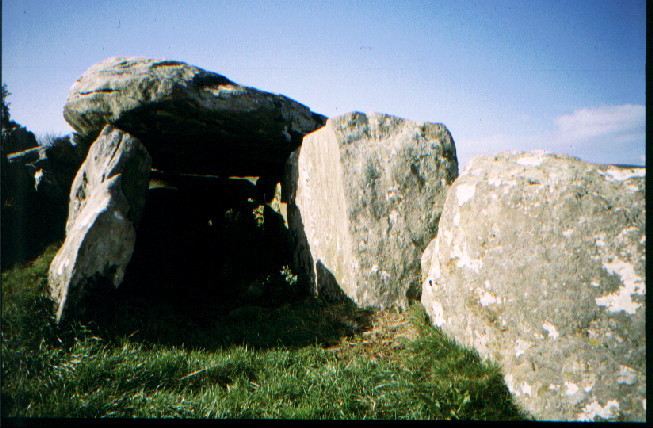 Knockcurraghbola Commons (Wedge Tomb) by greywether