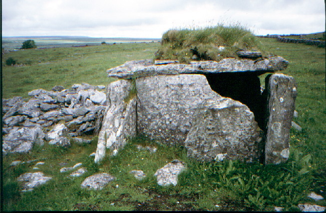 Parknabinnia (Cl. 67) (Wedge Tomb) by greywether