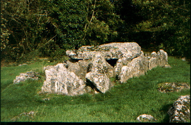 Lough Gur Wedge Tomb (Wedge Tomb) by greywether