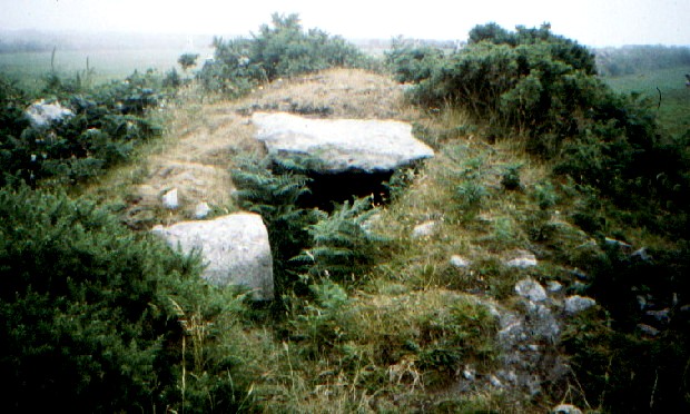 Treen Entrance Graves (Entrance Grave) by greywether