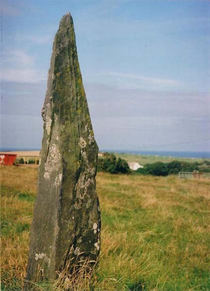 Llanrhian (Standing Stone / Menhir) by moss