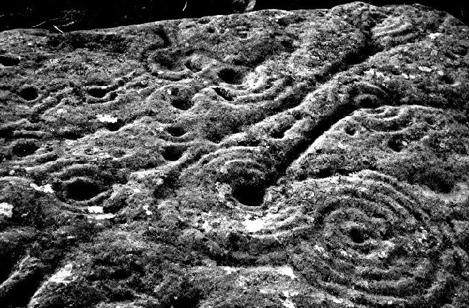 Old Bewick (Cup and Ring Marks / Rock Art) by greywether