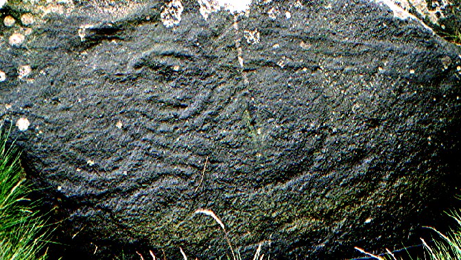 Little Badger Stone (Cup and Ring Marks / Rock Art) by greywether