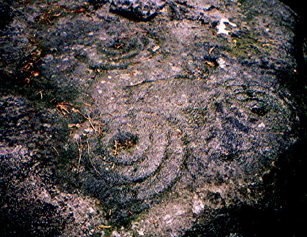 Panorama Stone (Cup and Ring Marks / Rock Art) by greywether