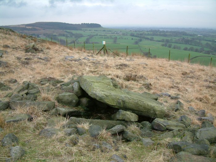 Black Coppice Chambered Cairn (Chambered Cairn) by Rivington Pike