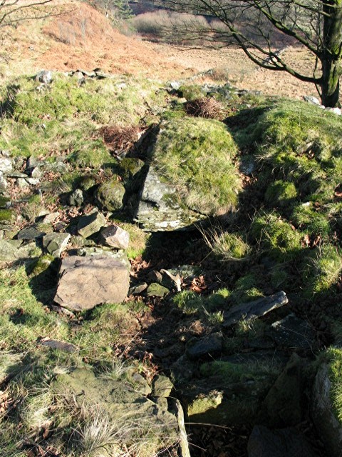 Cuff Hill (Chambered Tomb) by greywether