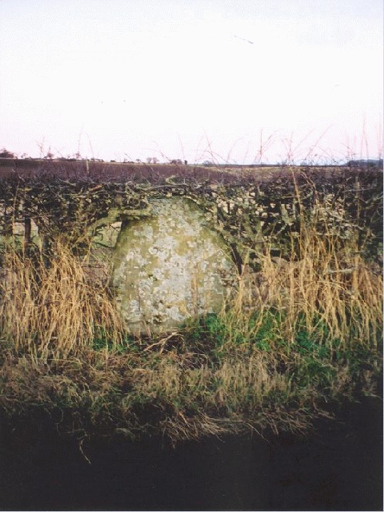Wright's Houses Standing Stone (Standing Stone / Menhir) by Martin
