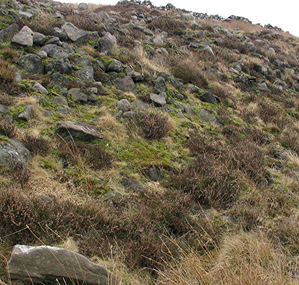 Burngrange (Chambered Cairn) by greywether