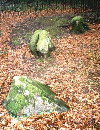 The Nine Stones of Winterbourne Abbas (Stone Circle) by texlahoma