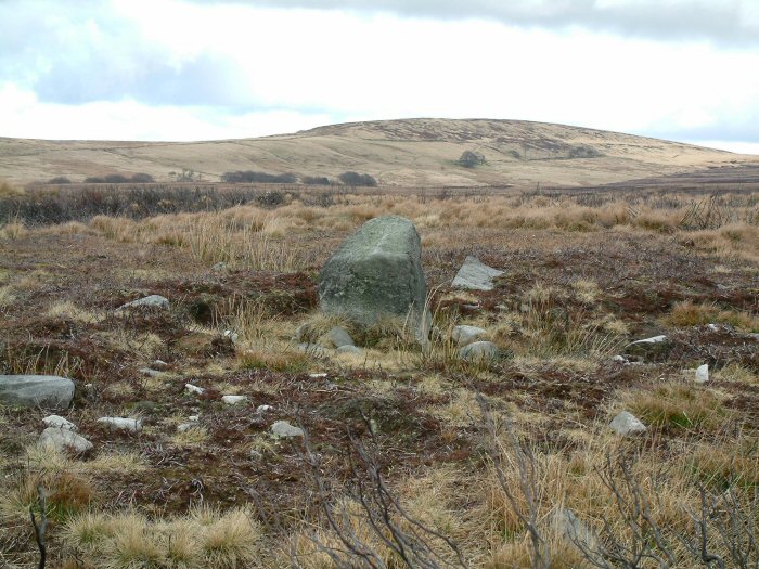 Anglezarke Moor Standing Stone (Standing Stone / Menhir) by Rivington Pike