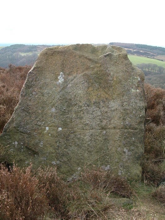 Stronstrey Bank Stone (Standing Stone / Menhir) by Rivington Pike