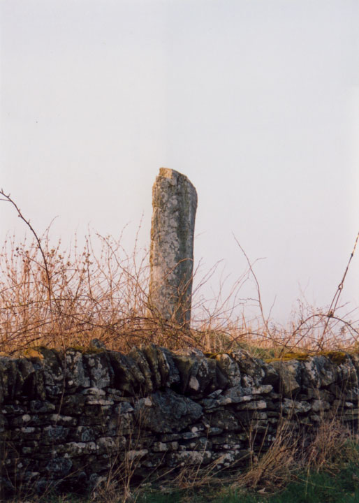 High Keillor Farm (Standing Stone / Menhir) by BigSweetie