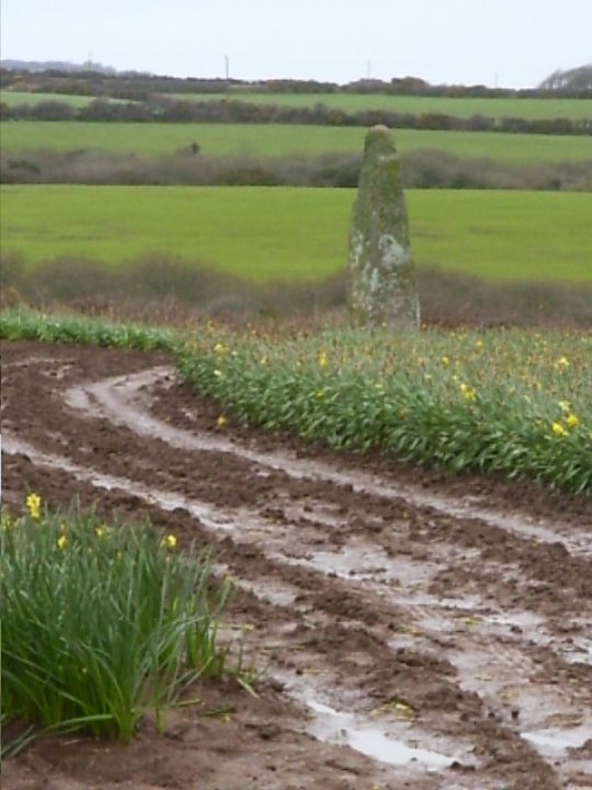 The Blind Fiddler (Standing Stone / Menhir) by Jane