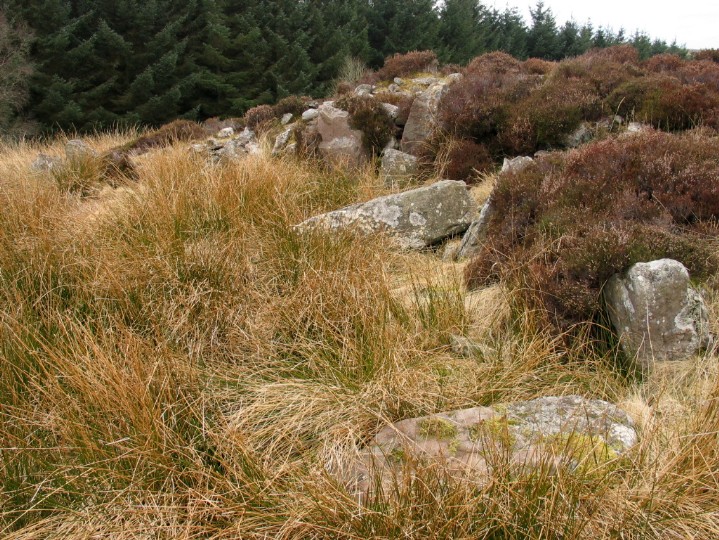Lang Cairn (Chambered Tomb) by greywether