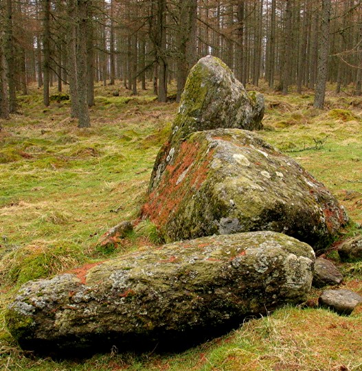 Nine Stanes (Stone Circle) by greywether