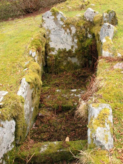 Crarae Garden (Chambered Cairn) by greywether