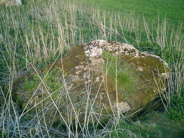 The Hoar Stone (Duntisbourne Abbots) (Long Barrow) by notjamesbond